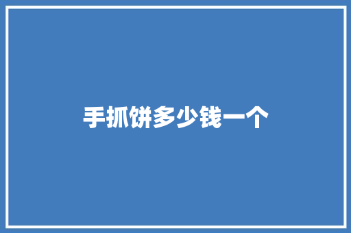 手抓饼多少钱一个