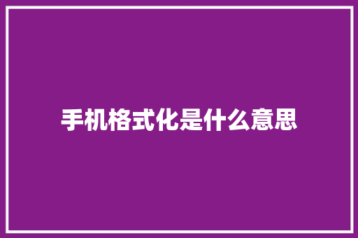 手机格式化是什么意思