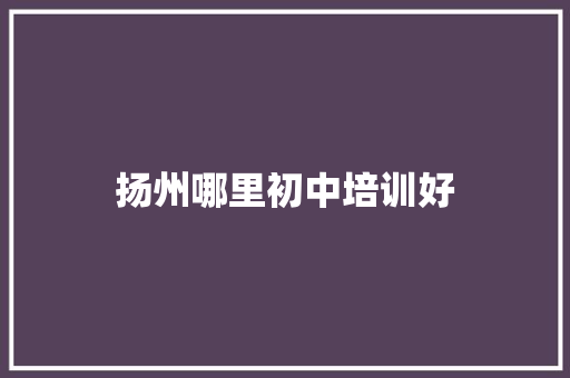 扬州哪里初中培训好