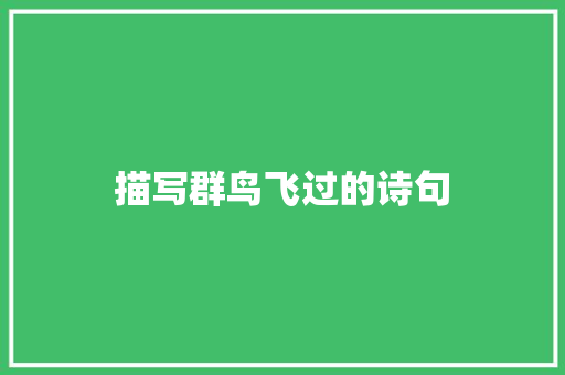 描写群鸟飞过的诗句