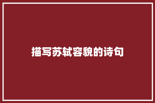 描写苏轼容貌的诗句