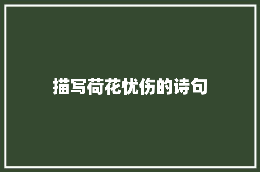 描写荷花忧伤的诗句