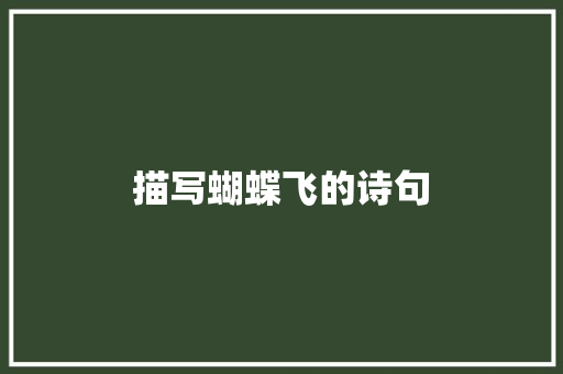 描写蝴蝶飞的诗句