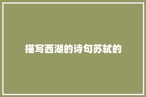 描写西湖的诗句苏轼的