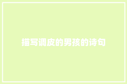 描写调皮的男孩的诗句