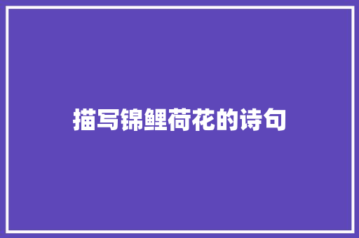 描写锦鲤荷花的诗句