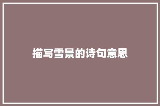 描写雪景的诗句意思 商业计划书范文