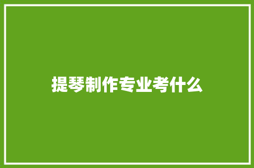 提琴制作专业考什么