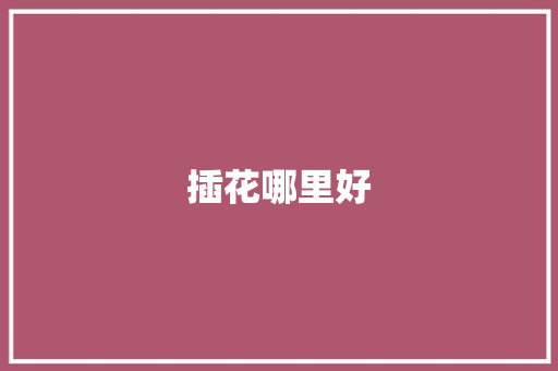 插花哪里好