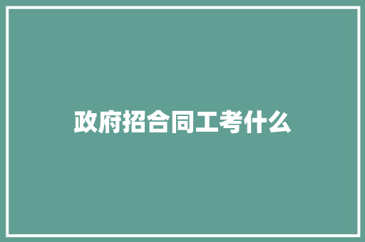 政府招合同工考什么