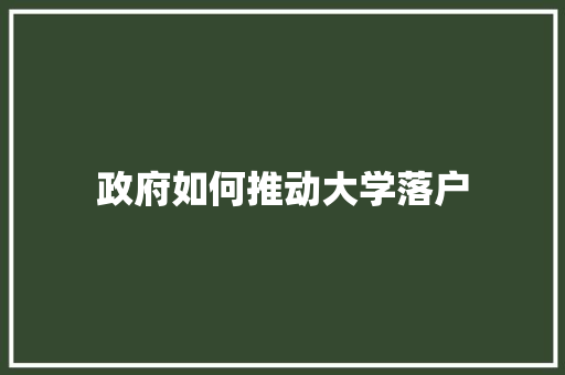 政府如何推动大学落户