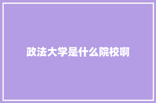 政法大学是什么院校啊