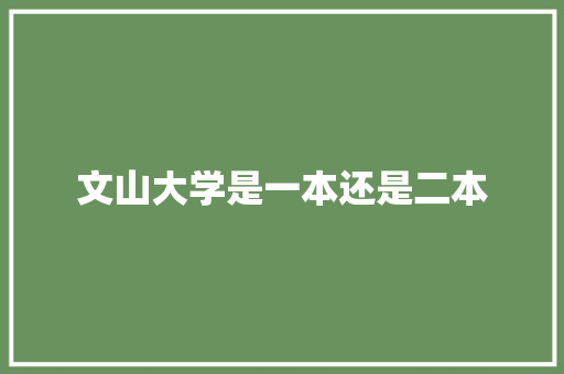 文山大学是一本还是二本