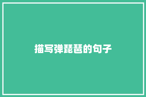 描写弹琵琶的句子 记叙文范文