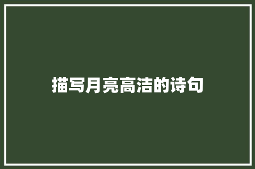 描写月亮高洁的诗句