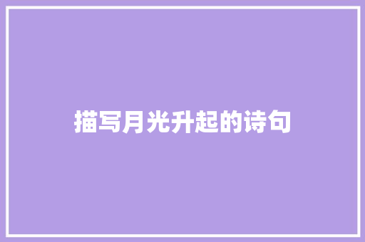 描写月光升起的诗句