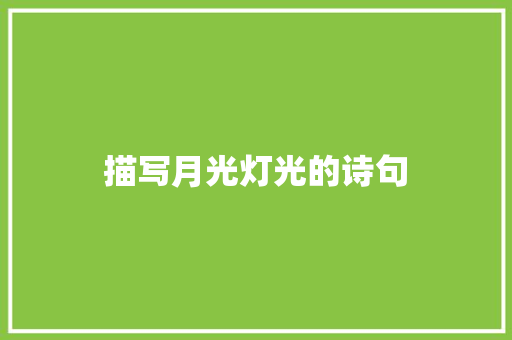 描写月光灯光的诗句