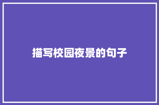 描写校园夜景的句子