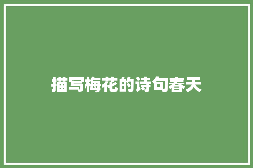 描写梅花的诗句春天