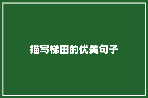 描写梯田的优美句子