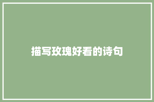描写玫瑰好看的诗句