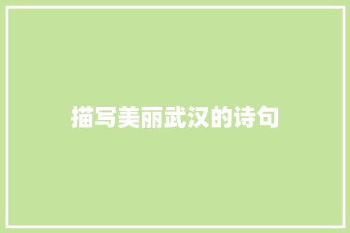描写美丽武汉的诗句