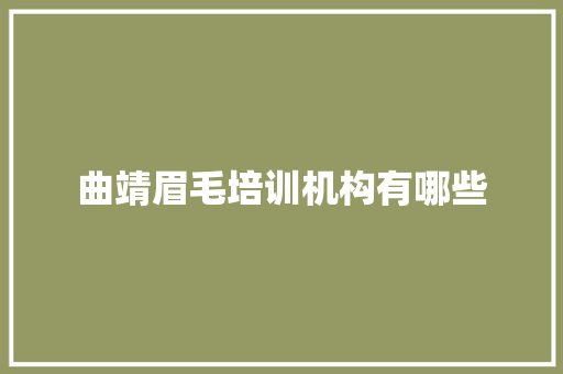 曲靖眉毛培训机构有哪些