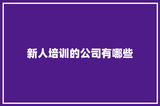 新人培训的公司有哪些