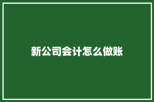 新公司会计怎么做账 商业计划书范文