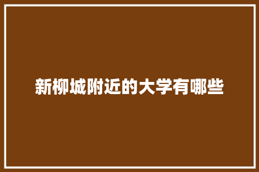 新柳城附近的大学有哪些 商业计划书范文