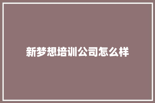新梦想培训公司怎么样 商业计划书范文