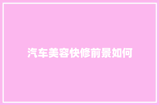 汽车美容快修前景如何