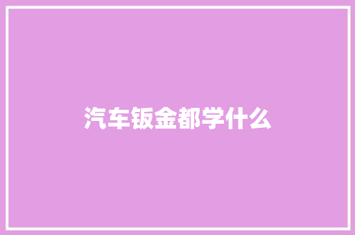 汽车钣金都学什么