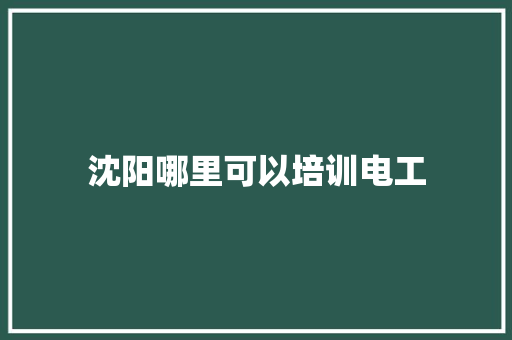 沈阳哪里可以培训电工