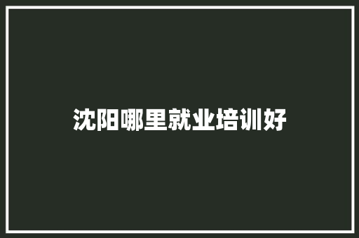 沈阳哪里就业培训好