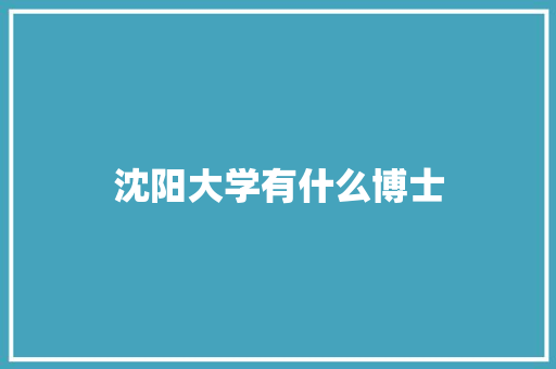 沈阳大学有什么博士