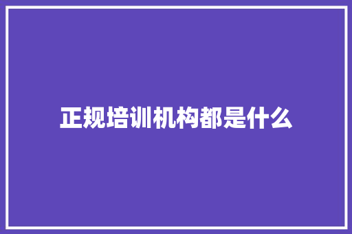 正规培训机构都是什么