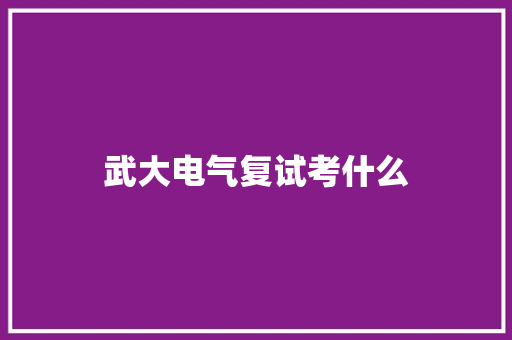 武大电气复试考什么