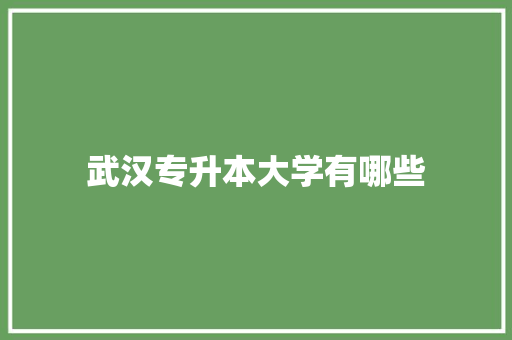 武汉专升本大学有哪些