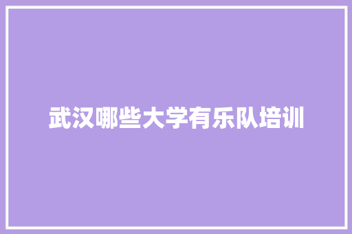 武汉哪些大学有乐队培训