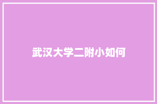 武汉大学二附小如何