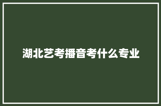 湖北艺考播音考什么专业