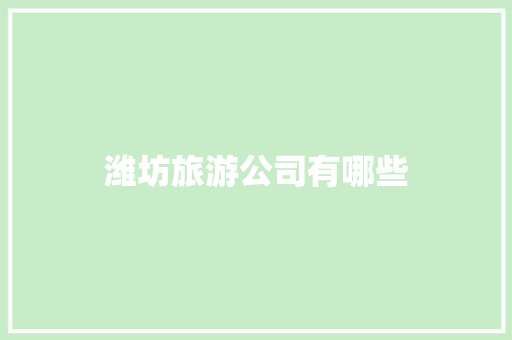 潍坊旅游公司有哪些