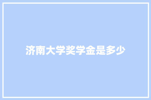 济南大学奖学金是多少