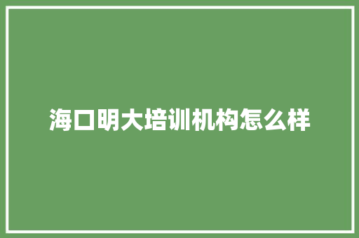 海口明大培训机构怎么样