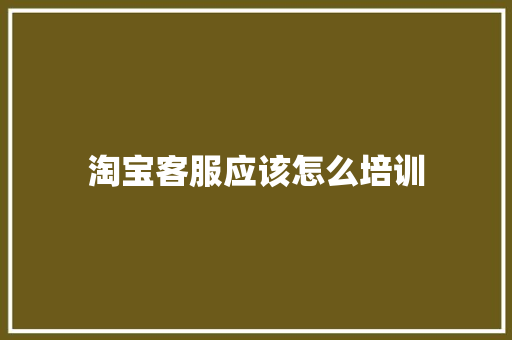 淘宝客服应该怎么培训