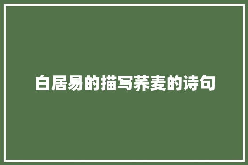 白居易的描写荞麦的诗句 应用文范文