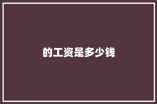 的工资是多少钱