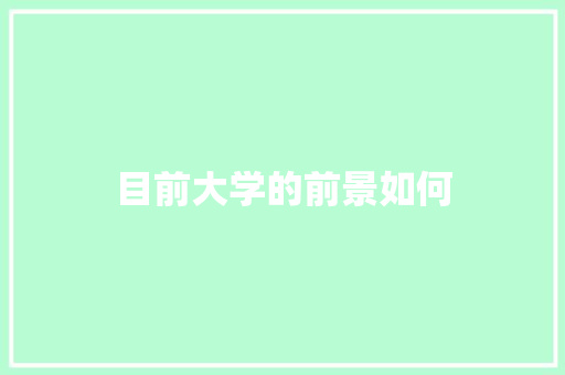 目前大学的前景如何