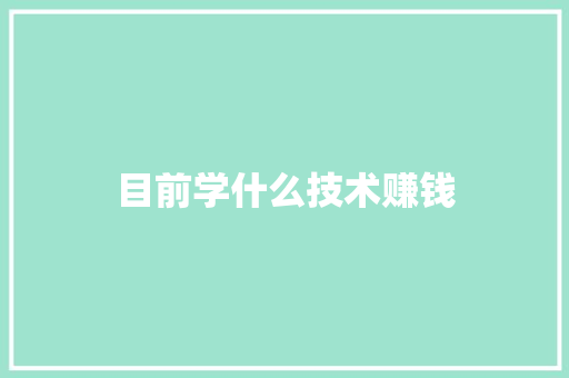 目前学什么技术赚钱